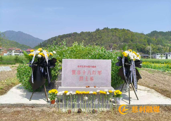 图片2_副本1.png