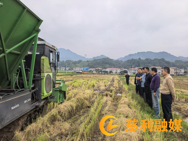 岩泊渡镇：开展中稻测产 助力粮食丰收2_慈利.png