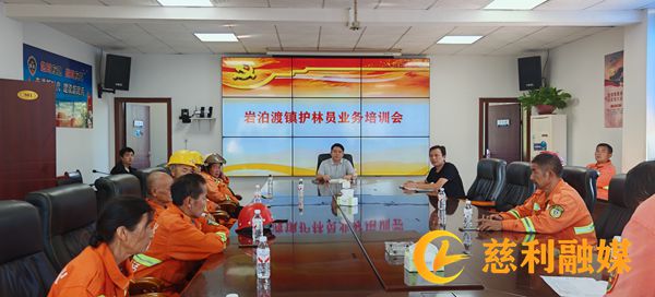岩泊渡镇：多措并举筑牢森林防火墙3_慈利.jpg