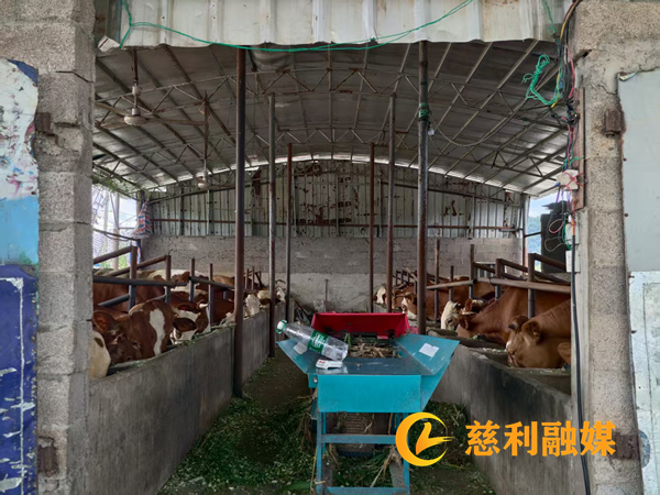 岩泊渡镇：水稻盛产抢收忙 秸秆变宝溢清香3_慈利.png