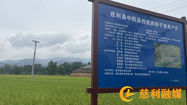 图片1_副本1.jpg