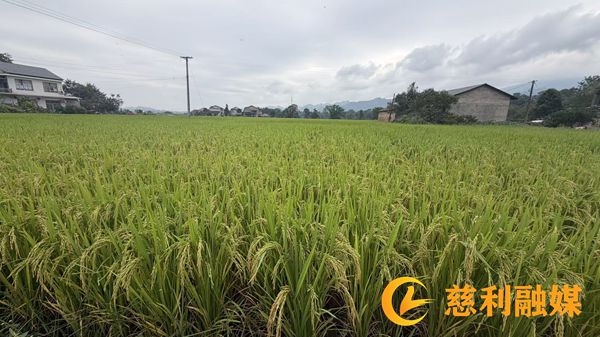 图片2_副本1.jpg