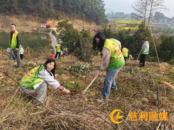 岩泊渡镇：助力油茶产业发展 岩泊渡镇青年在行动2_慈利.png