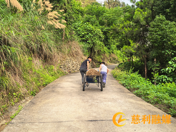 岩泊渡镇失马村：“圩心失马”解民忧 党群齐心复坦途2_慈利.png
