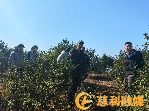 供货1.jpg 供货1.jpg