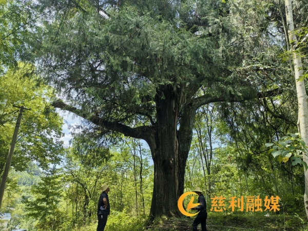 微信图片_20260721135131_1943_11.jpg 微信图片_20260721135131_1943_11.jpg