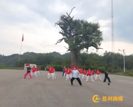 aa115c9af12c502e276a7ff429eebedd.jpg aa115c9af12c502e276a7ff429eebedd.jpg