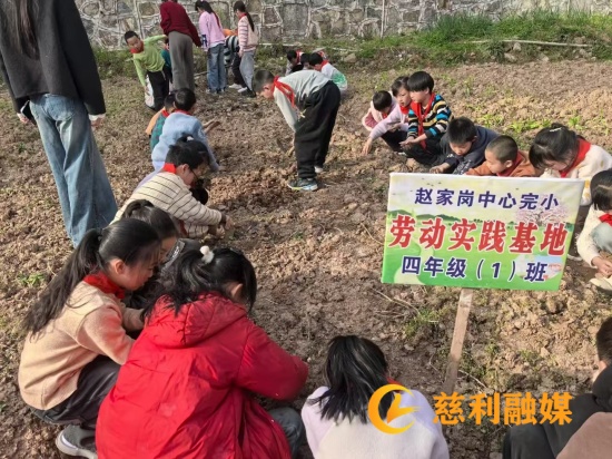 完小劳动教育_副本.jpg