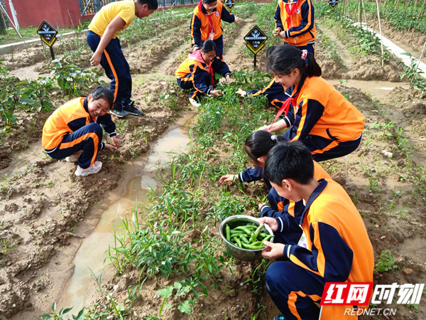 d8c1f181a232323a1d14f9883ed164d246e5f_副本.jpg d8c1f181a232323a1d14f9883ed164d246e5f_副本.jpg