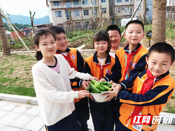 8e839e01e232344232755d26ed647de923eea9ae_副本.jpg 8e839e01e232344232755d26ed647de923eea9ae_副本.jpg