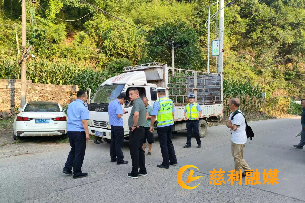 执法大队1.png 执法大队1.png