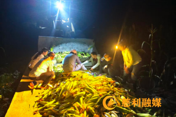 图片2.png 图片2.png