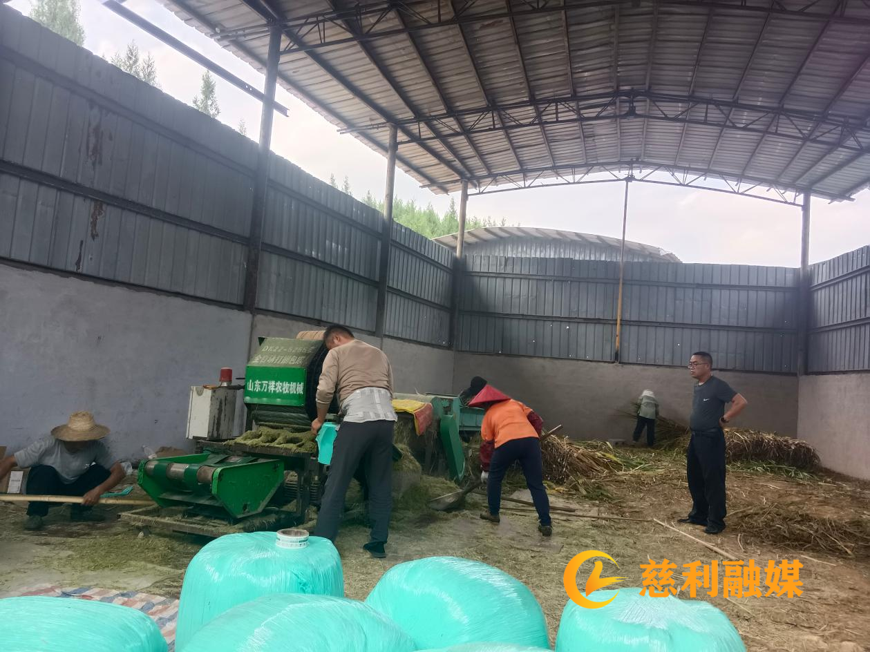 微信图片_20260924102952_1050_140.png 微信图片_20260924102952_1050_140.png