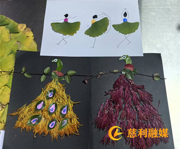 微信图片_20251119104102_156_553.jpg 微信图片_20251119104102_156_553.jpg