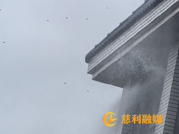 微5.jpg