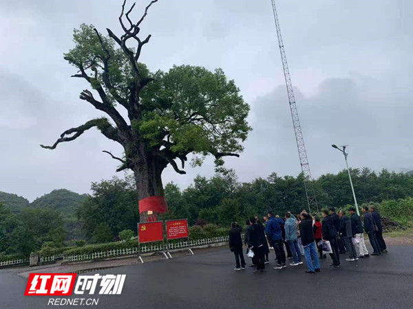 长安2_副本.jpg