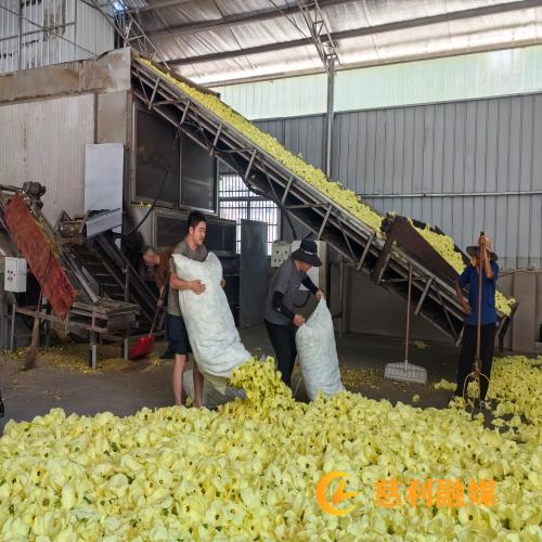 微信图片_20260729164714_1143_4.jpg 微信图片_20260729164714_1143_4.jpg