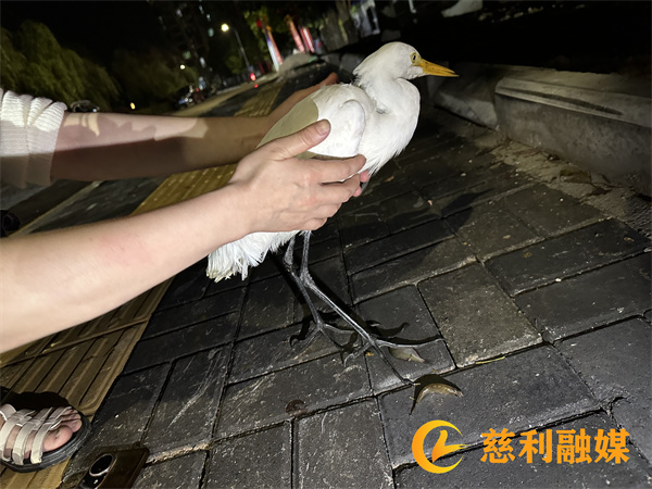 c9907d232008a9e6ebe556426f8433c.jpg