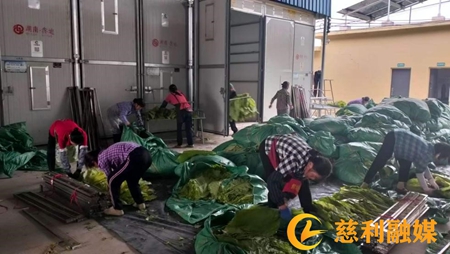 11.jpg 11.jpg