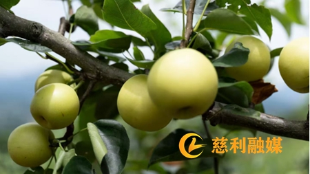 未命名_副本.jpg 未命名_副本.jpg