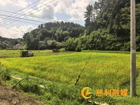 未命名_副本.jpg