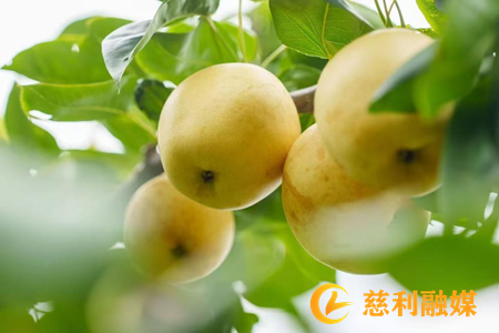 岩2.png 岩2.png