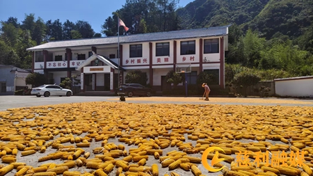 汪1.jpg 汪1.jpg