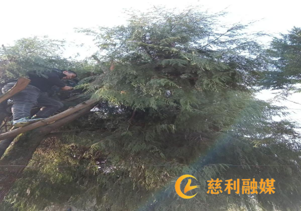 图片 1_副本.png
