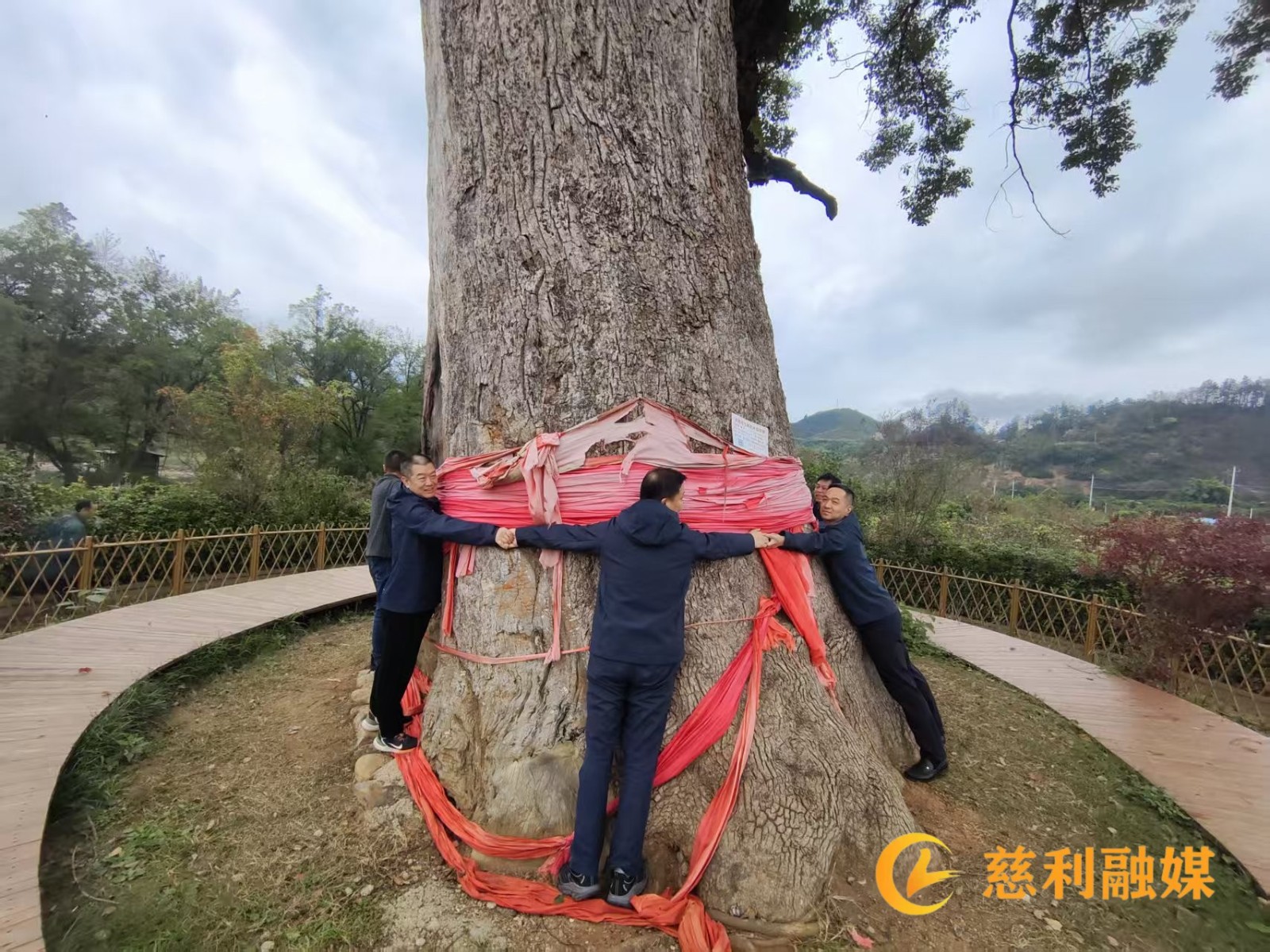 e2810e93e05fdca14f9809003c34ec8f_副本.jpg e2810e93e05fdca14f9809003c34ec8f_副本.jpg