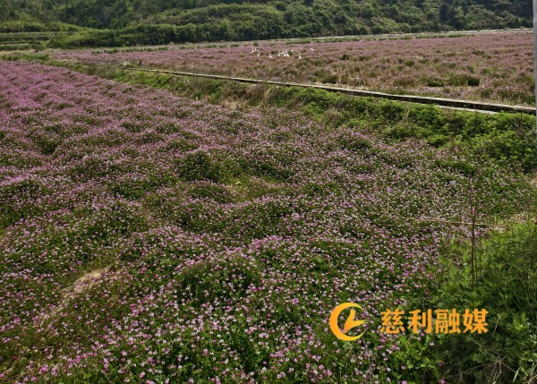 a0e09ecdf158893b85bab8058ed3d104.jpg a0e09ecdf158893b85bab8058ed3d104.jpg