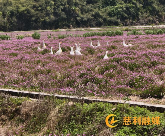 5d8dfee5200f47febe75d5ee845e746c.jpg 5d8dfee5200f47febe75d5ee845e746c.jpg