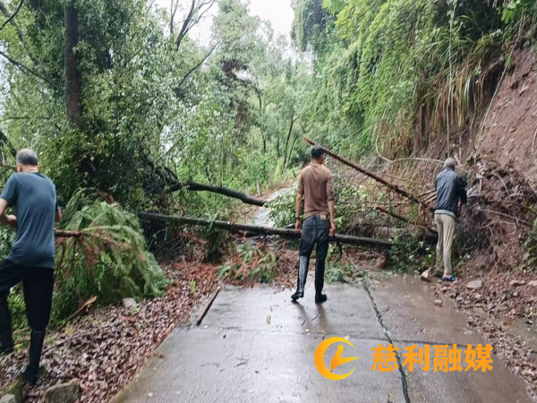 图片 1_副本.png