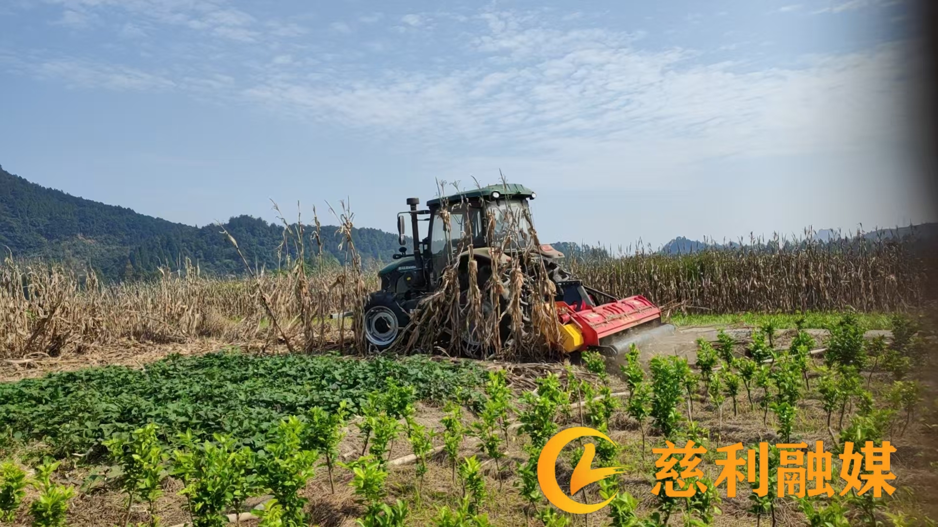 微信图片_20261014092656_331_93.jpg