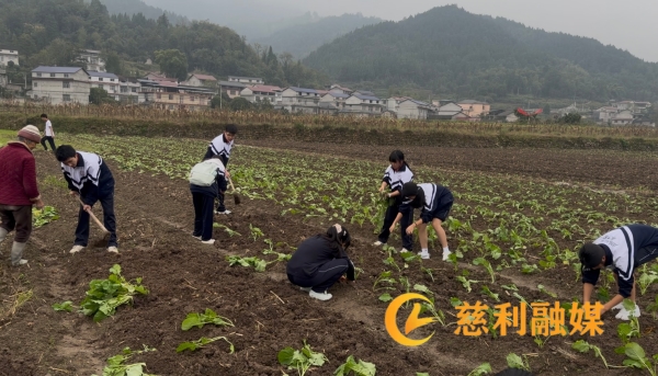 微信图片_20261029110628_120_14.jpg