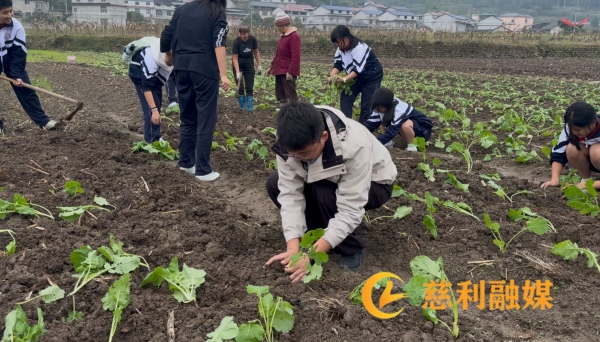 微信图片_20261029110627_119_14.jpg