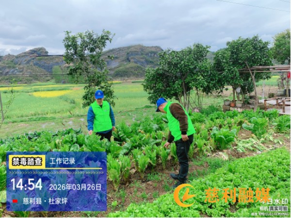 微信图片_20260326172945_714_54.jpg 微信图片_20260326172945_714_54.jpg