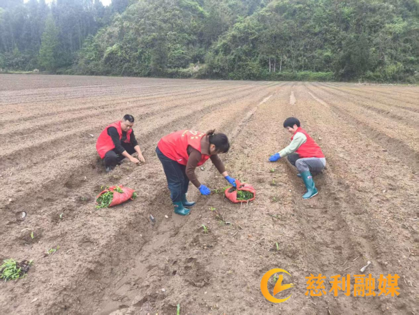 图片3.png 图片3.png