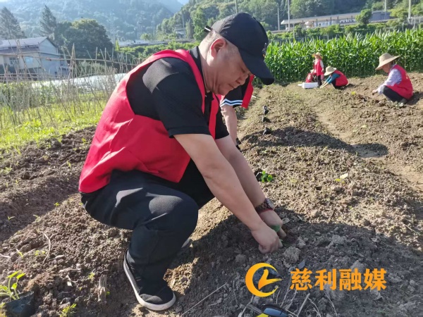 122a5c3a7bcd6278fb6ad2d152414b71_副本.jpg