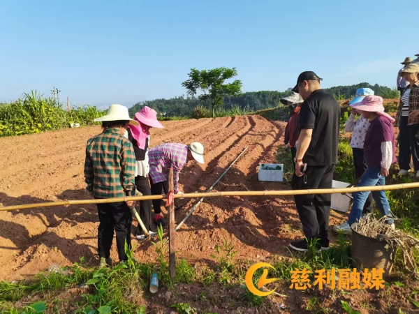 14e02a9878f27ff8e04cfbd4fefa41fb_副本.jpg