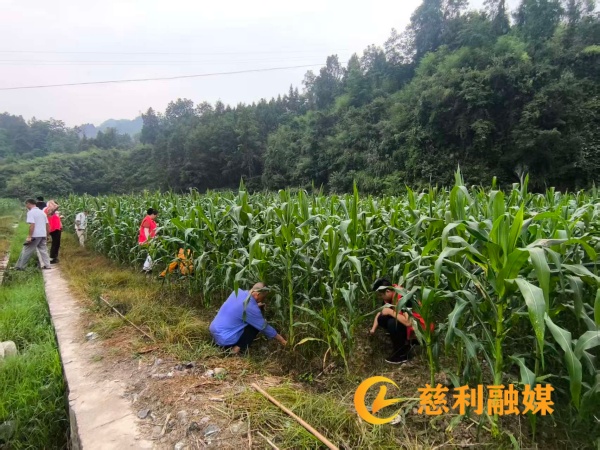 e5241dc46a986c37910dc5e881a4837e_副本.jpg e5241dc46a986c37910dc5e881a4837e_副本.jpg