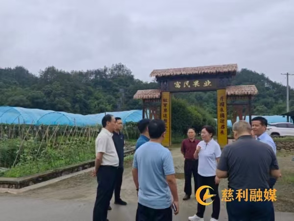 微信图片_20260623163521_9_1.jpg 微信图片_20260623163521_9_1.jpg