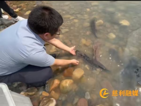 微信图片_20260605113026_575_35.jpg
