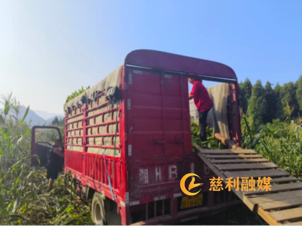 f7fbedf5ad19e3a850602b9d07564258.jpg