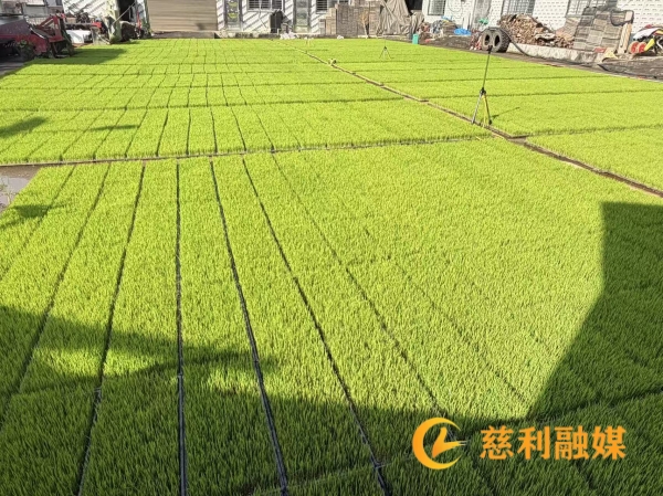 微信图片_20260714160527_1342_54.jpg
