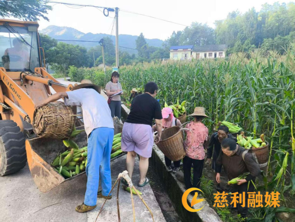 图片 22.png 图片 22.png
