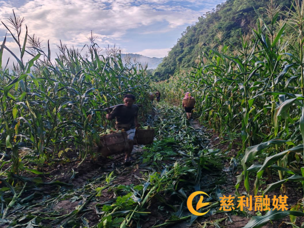 图片 11.png 图片 11.png