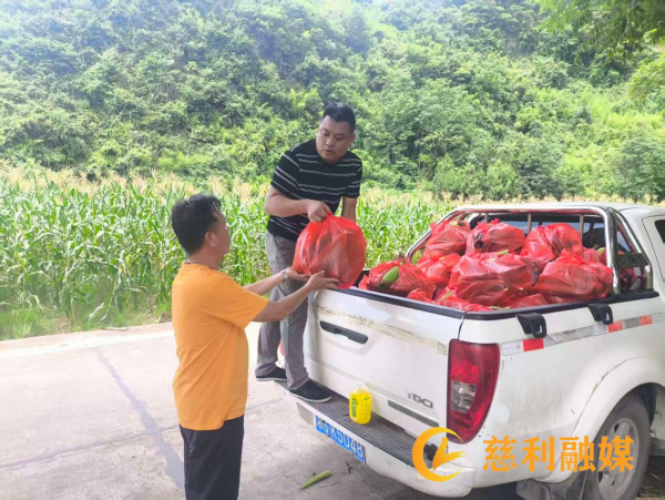 图片 33.png 图片 33.png