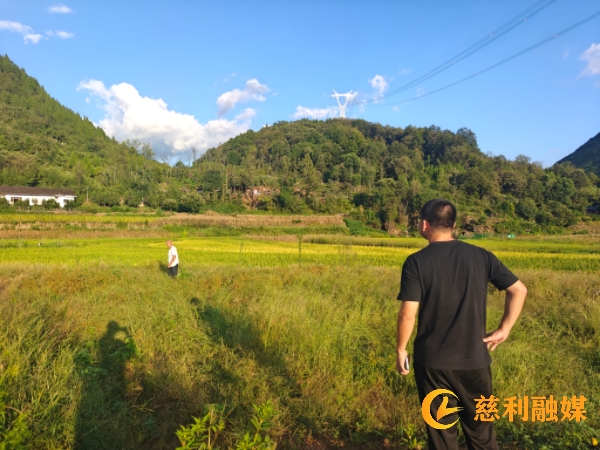 微信图片_20260831105335_31_256.jpg 微信图片_20260831105335_31_256.jpg