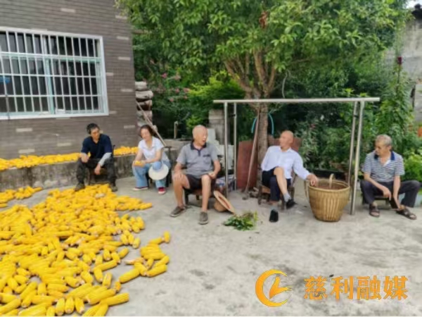 玉米县级.jpg