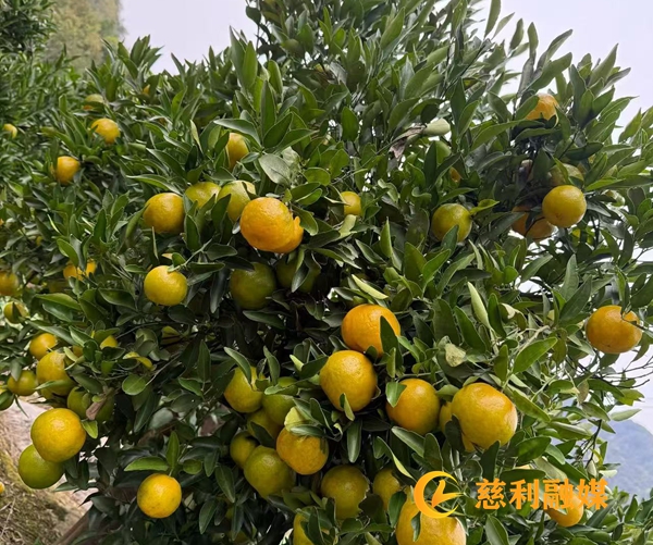 3b808be171a66a6fd198479916538778.jpg 3b808be171a66a6fd198479916538778.jpg